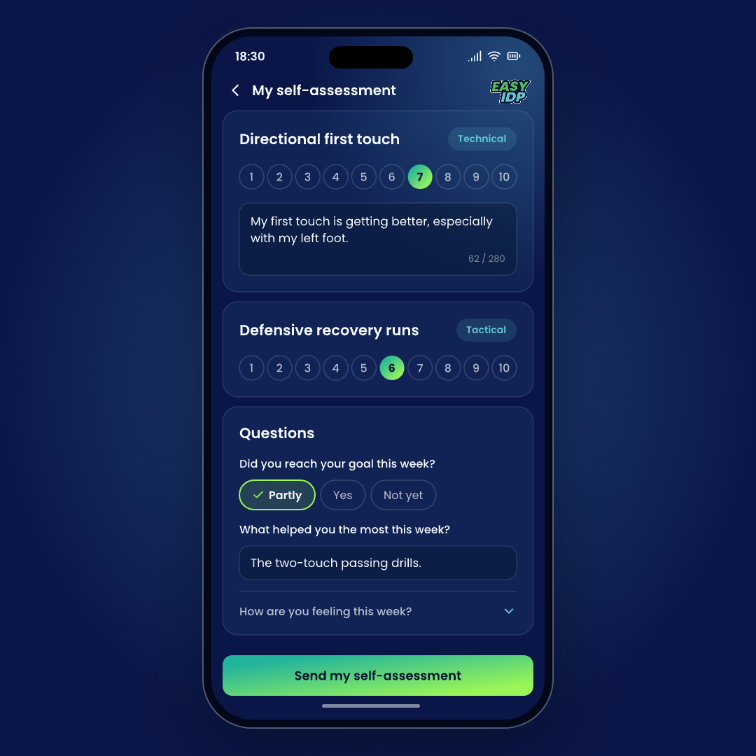 Preview of the EasyIDP interface